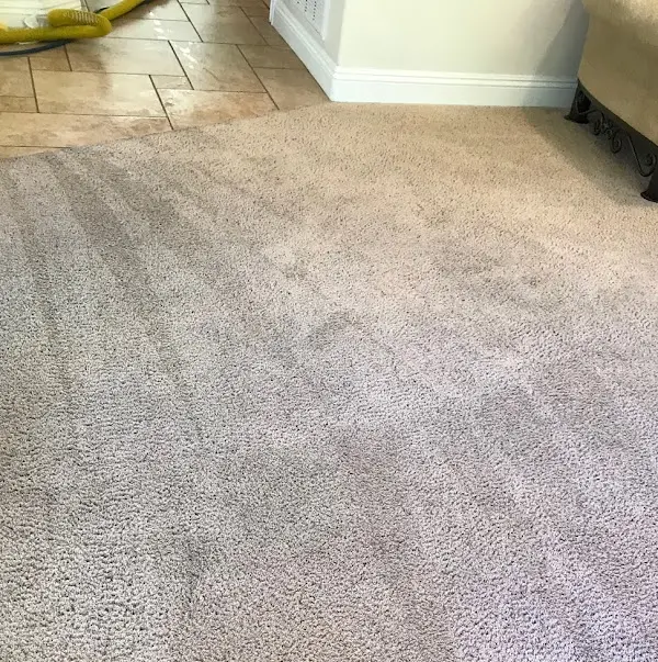 Professional Carpet Cleaner in Los Angeles, CA